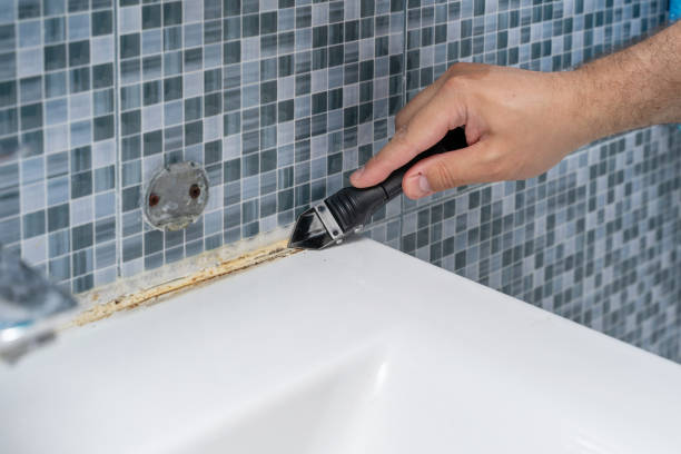 Best Insurance-Related Mold Remediation in Chappaqua, NY